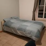 Au Coeur De La Gaume *